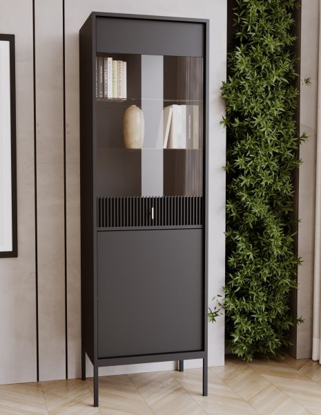 Vitrinenschrank Bücherschrank Regalschrank Glasschrank Wohnschrank Schwarz